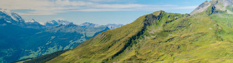 Tiroler Alpenland Onlineshop