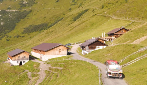 Almabtrieb Zell am Ziller 2026: Termin und Besuchstipps - TIROLISH