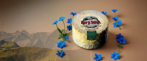 Bergkäse-Reifezeiten: Warum Sommer-Laibe erst im Winter schmecken - TIROLISH