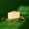 Bockshornklee - TIROLISH